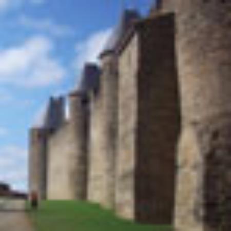 Starbucks Sogang Univ